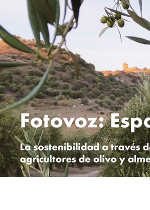 Fotovoz: España - La sostenibilidad a través de los ojos de las y los agricultores de olivo y almendra en Andalucía