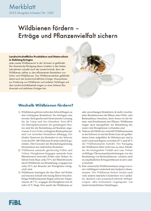 Wildbienen fördern – Erträge und Pflanzenvielfalt sichern