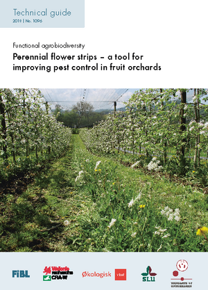 Perennial flower strips – a tool for improving pest control in fruit orchards