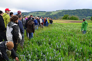 A large group of people stands in a field and listens to the speaker