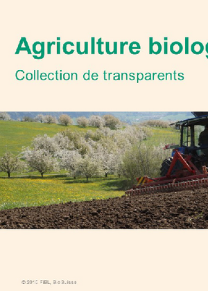 Collection de transparents sur l’agriculture biologique