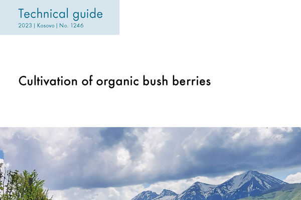Cover: Cultivation of organic bush berries.