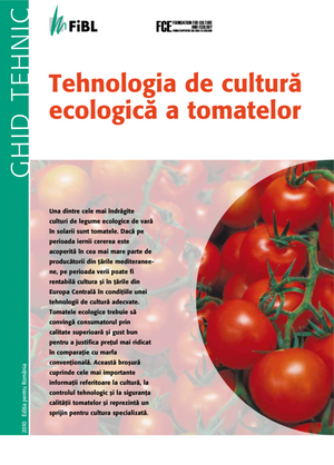 Tehnologia de cultură ecologică a tomatelor