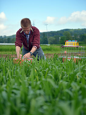 Measuring greenhouse gas emissions in a wheat field