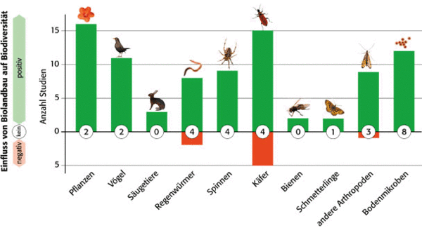 Abbildung Einfluss von Biolandbau auf Biodiversität