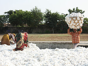 Haufen geernteter Baumwolle und drei Personen, eine davon bringt einen grossen Korb mit Baumwolle