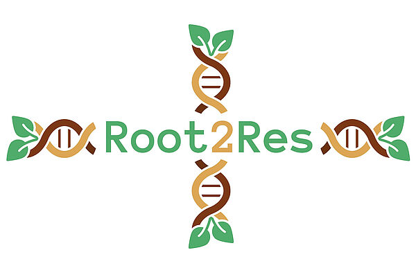 Logo Root2Res
