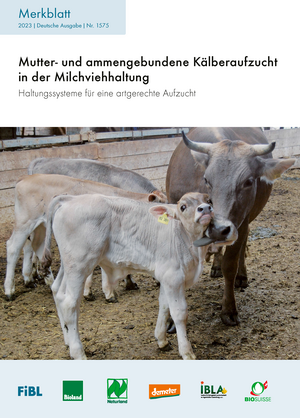 Mutter- und ammengebundene Kälberaufzucht in der Milchviehhaltung
