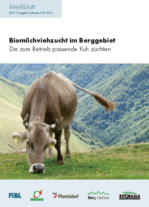 Biomilchviehzucht im Berggebiet