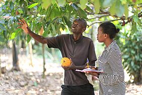 Ein Mann mit Kakaoschote und eine Frau mit Klemmbrett zwischen Kakaobäumen 