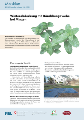 Cover Merkblatt "Winterabdeckung mit Bändchengewebe bei Minzen"