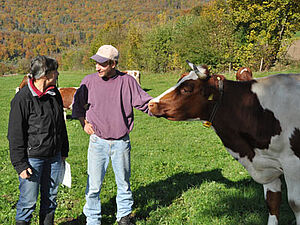 Two people are having a discussion. One of them is stroking a cow.