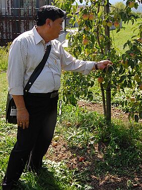 Dr. Therapathana comparing Swiss apple varieties.