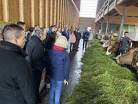 Besuchende stehen in einer Stallgasse, rechts sind Kühe und fressen frisches Grünfutter vom Futtertisch.