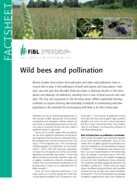 Cover Factsheet "Wild bees and pollination"