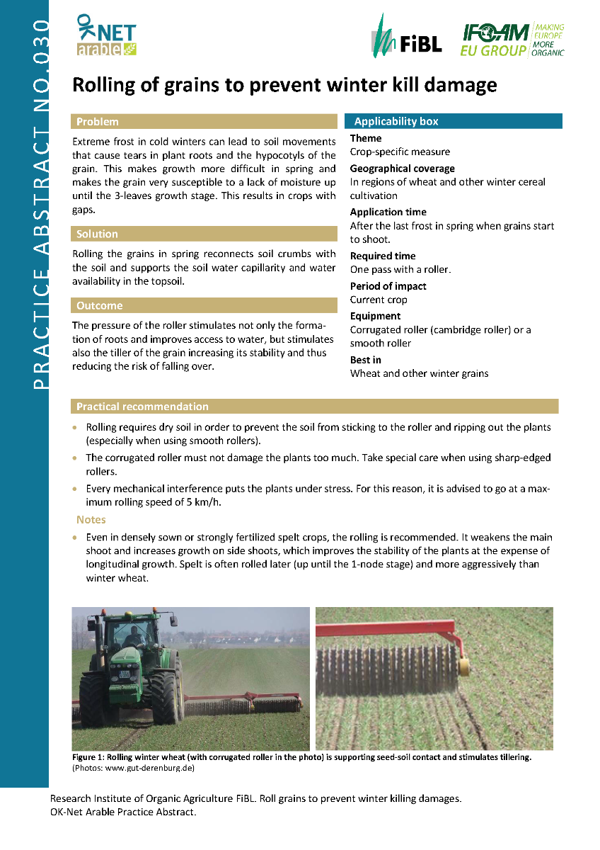 Cover: Rolling of grains to prevent winter kill damage