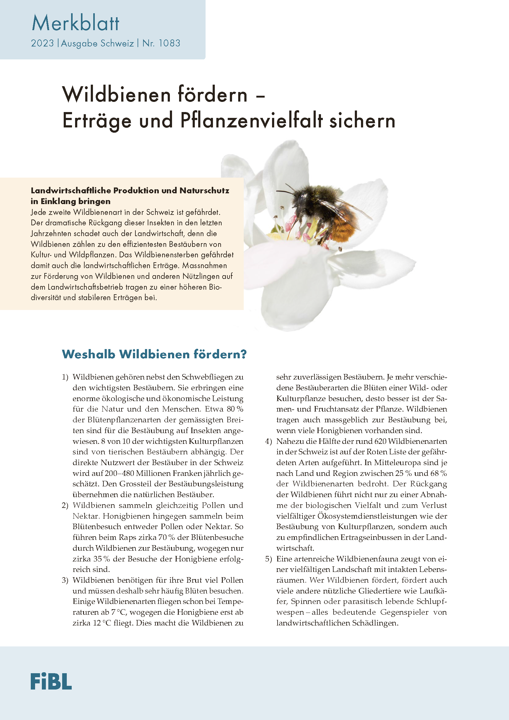 Cover: Wildbienen fördern – Erträge und Pflanzenvielfalt sichern