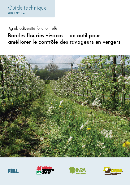 Cover: Bandes fleuries vivaces – un outil pour améliorer le contrôle des ravageurs en vergers