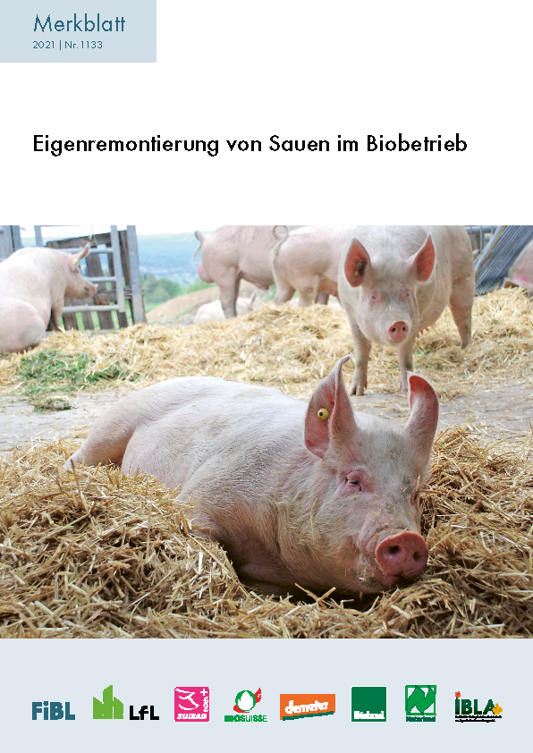 Cover: Eigenremontierung von Sauen im Biobetrieb