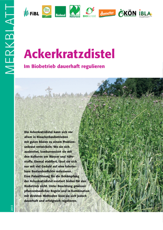 Cover: Ackerkratzdistel