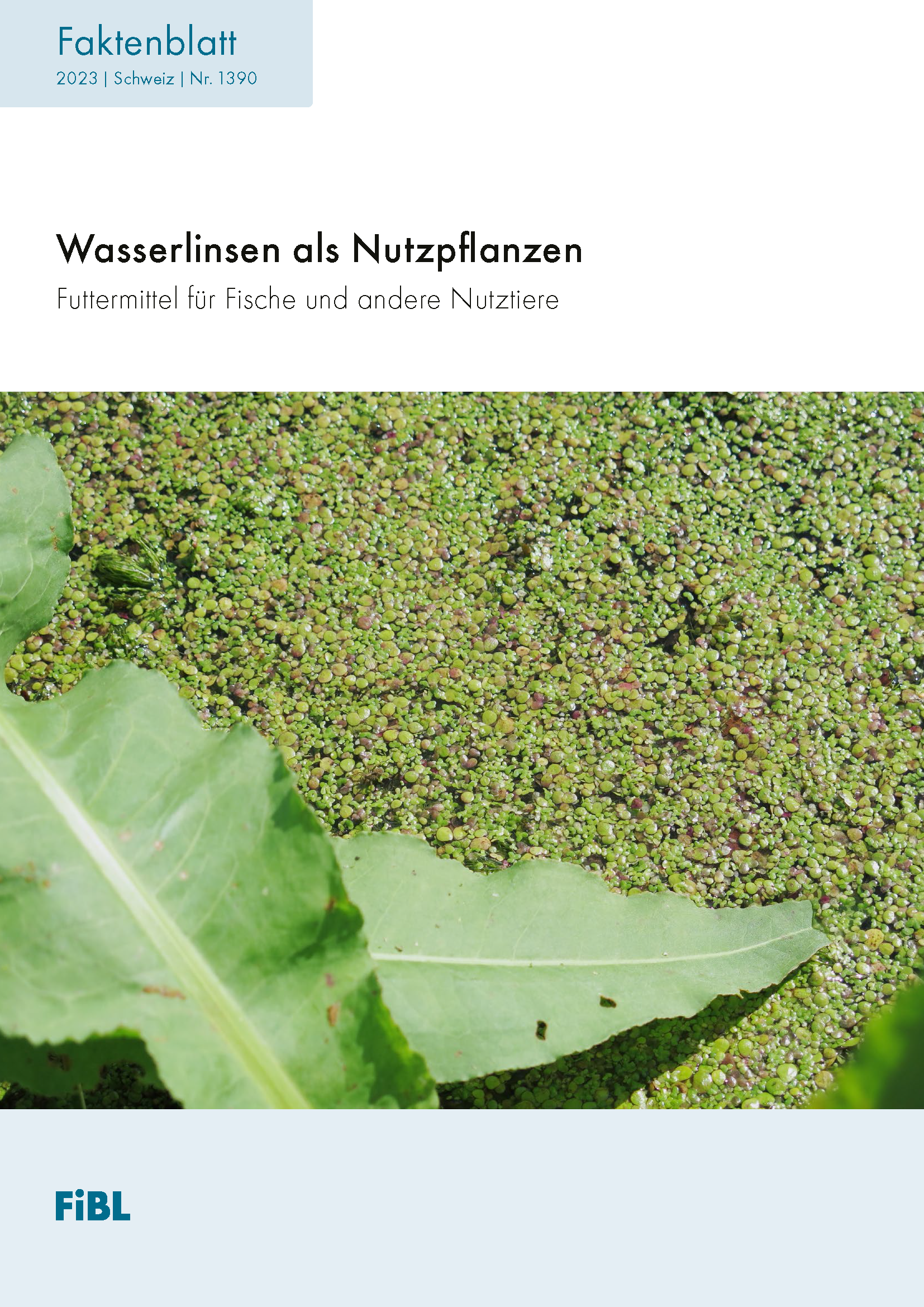 Cover: Wasserlinsen als Nutzpflanzen