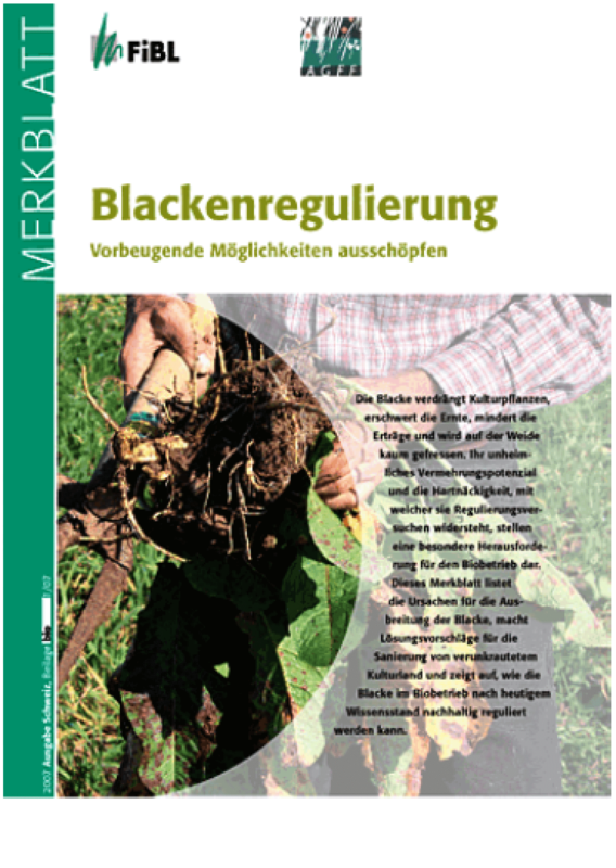 Cover: Blackenregulierung