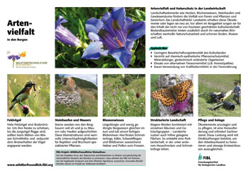 Cover: Feldrandtafel: Artenvielfalt in den Bergen