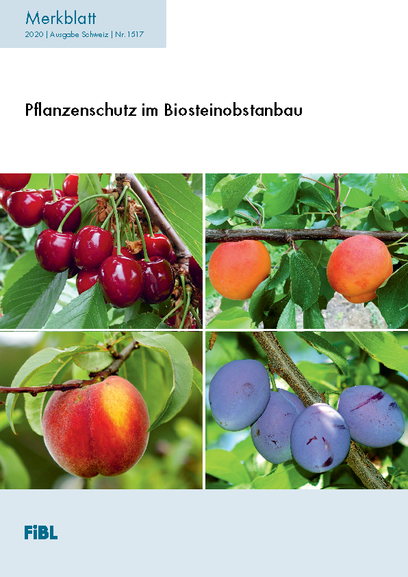 Cover: Pflanzenschutz im Biosteinobstanbau