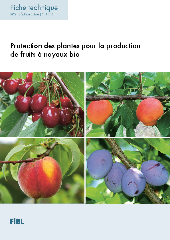 Cover: Protection des plantes pour la production de fruits à noyaux bio