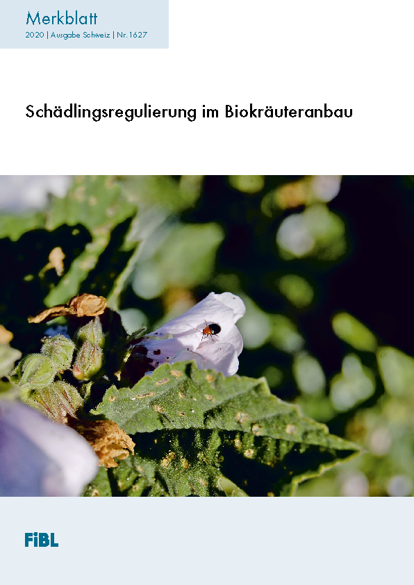 Cover: Schädlingsregulierung im Biokräuteranbau