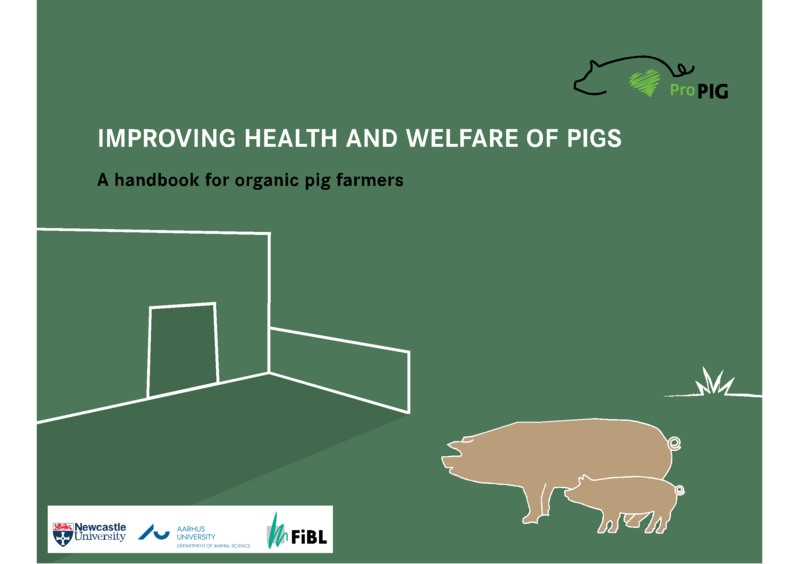 Cover: Improving health and welfare of pigs