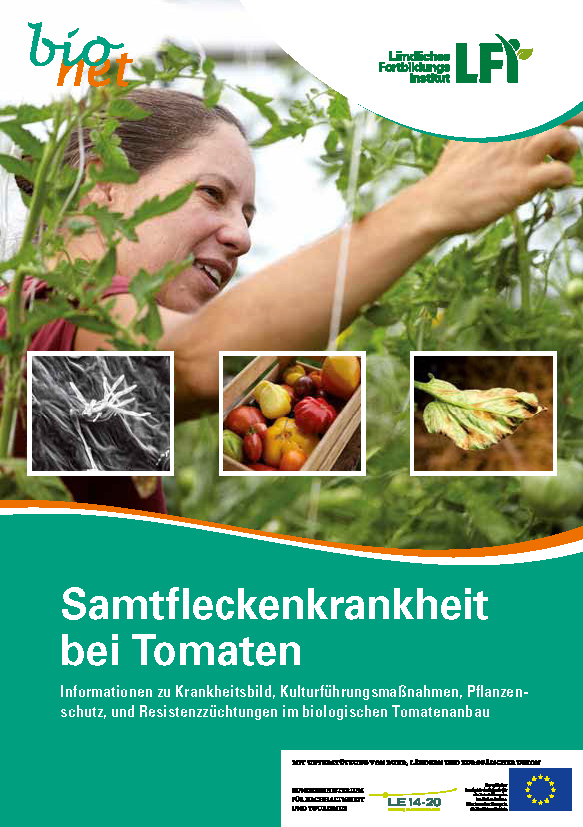 Cover: Samtfleckenkrankheit bei Tomaten