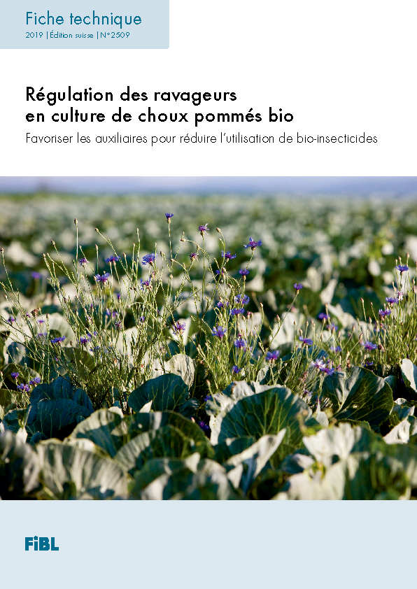 Cover: Régulation des ravageurs en culture de choux pommés bio