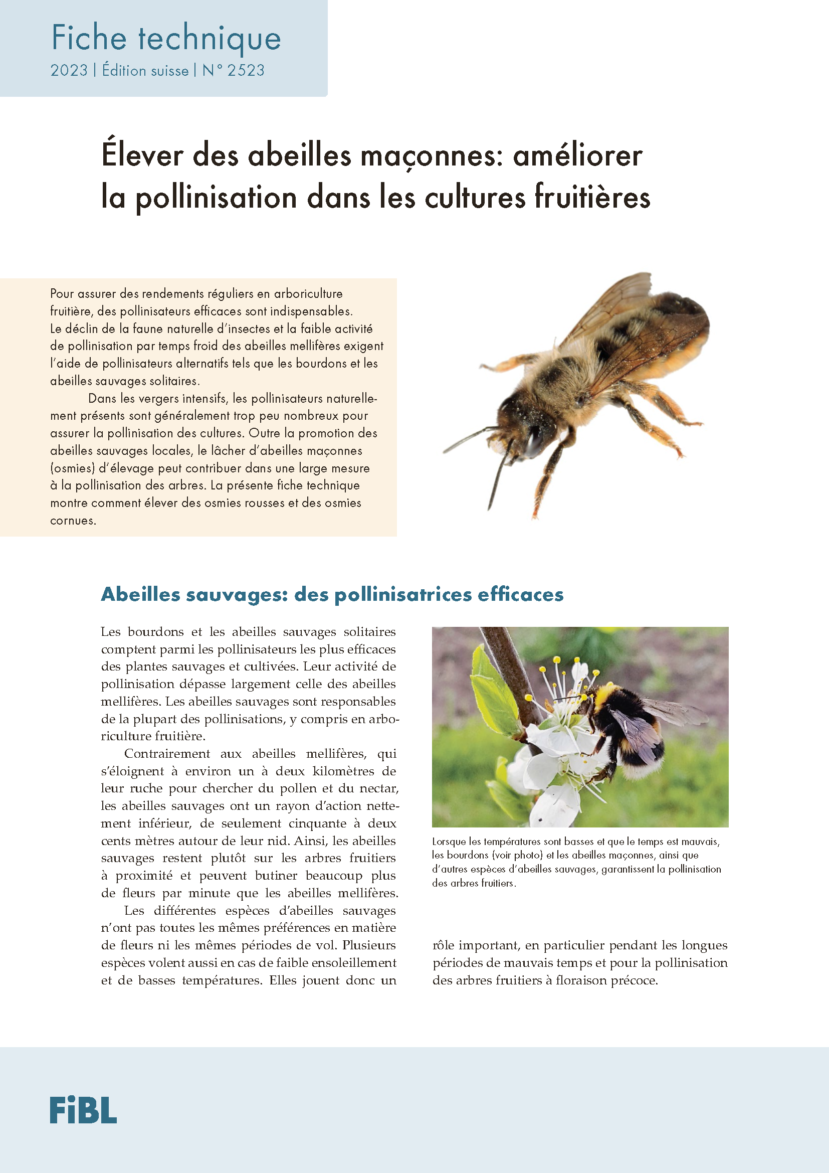 Cover: Les abeilles maçonnes, pollinisatrices efficaces