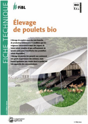 Élevage de poulets bio