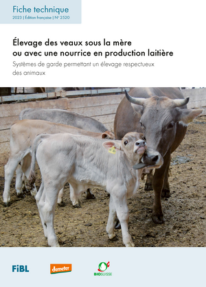 Élevage des veaux sous la mère ou avec une nourrice en production laitière