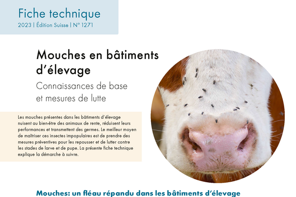 Cover: Mouches en bâtiments d’élevage