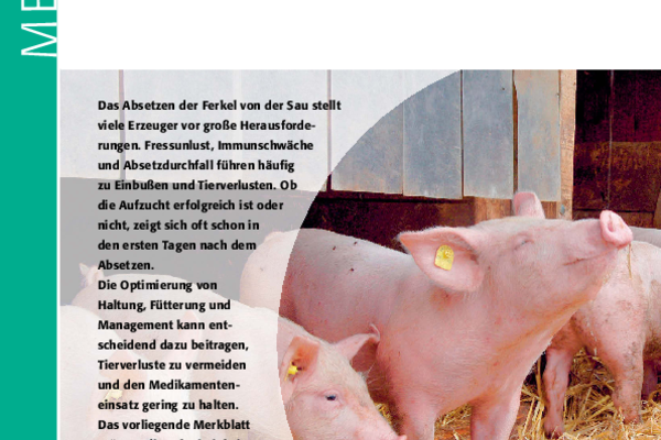 Cover Merkblatt "Erfolgreiches Absetzen der Bioferkel"