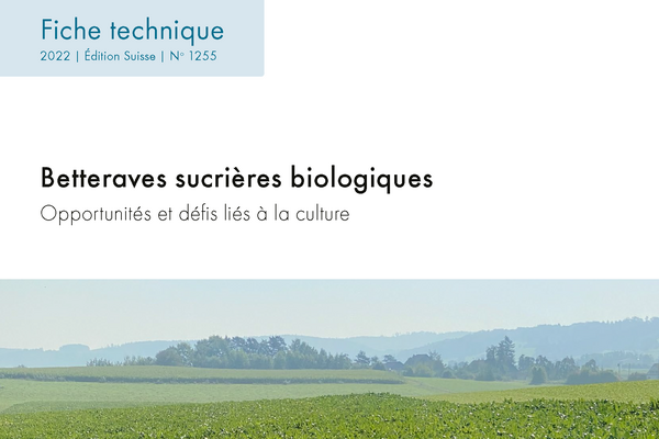 Cover: Betteraves sucrières biologiques