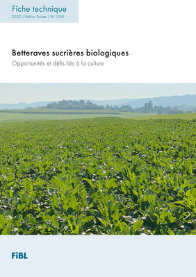 Cover Betteraves sucrières biologiques