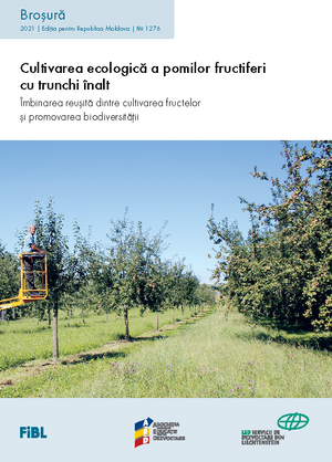 Cultivarea ecologică a pomilor fructiferi cu trunchi înalt