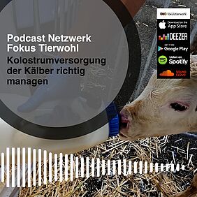 Titelbild des Podcasts