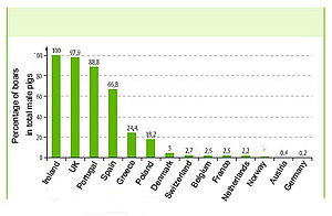 Bar chart showing the percentage of boars in total number of slaughtered male pigs in European countries