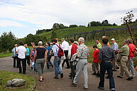 Besuchergruppen auf einem Rundgang