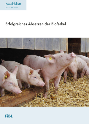 Erfolgreiches Absetzen der Bioferkel