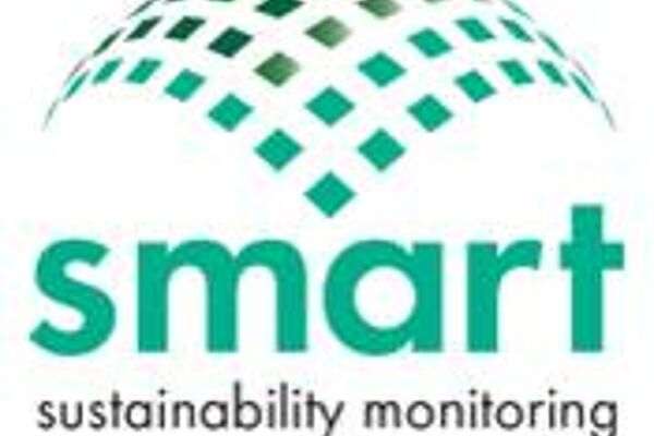 Logo smart