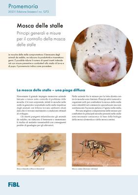 Cover: Mosca delle stalle
