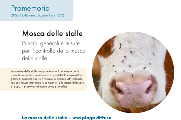 Cover: Mosca delle stalle