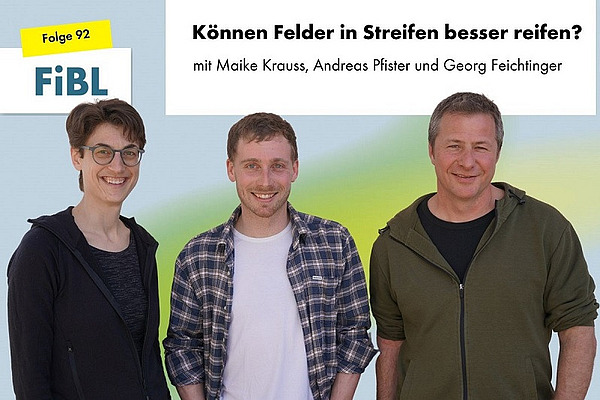 Eine Frau und zwei Männer.