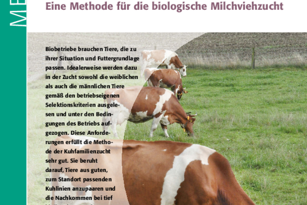 Cover Merkblatt «Kuhfamilienzucht – Eine Methode für die biologische Milchviehzucht»